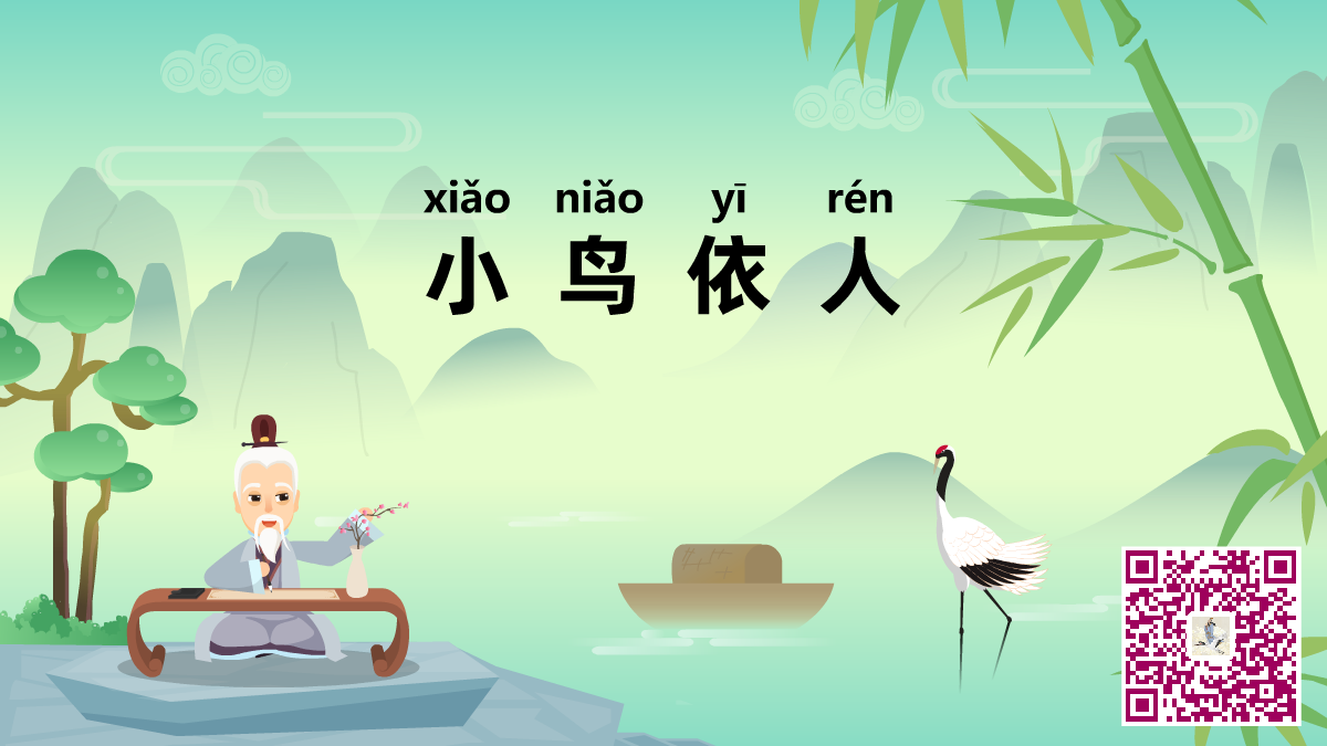 小鳥(niǎo)依人二維碼.png