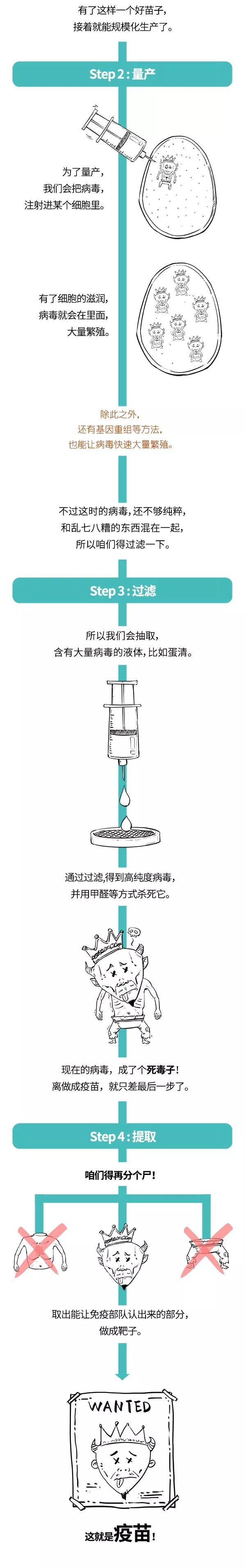 疫苗的規(guī)模化生產(chǎn).jpg