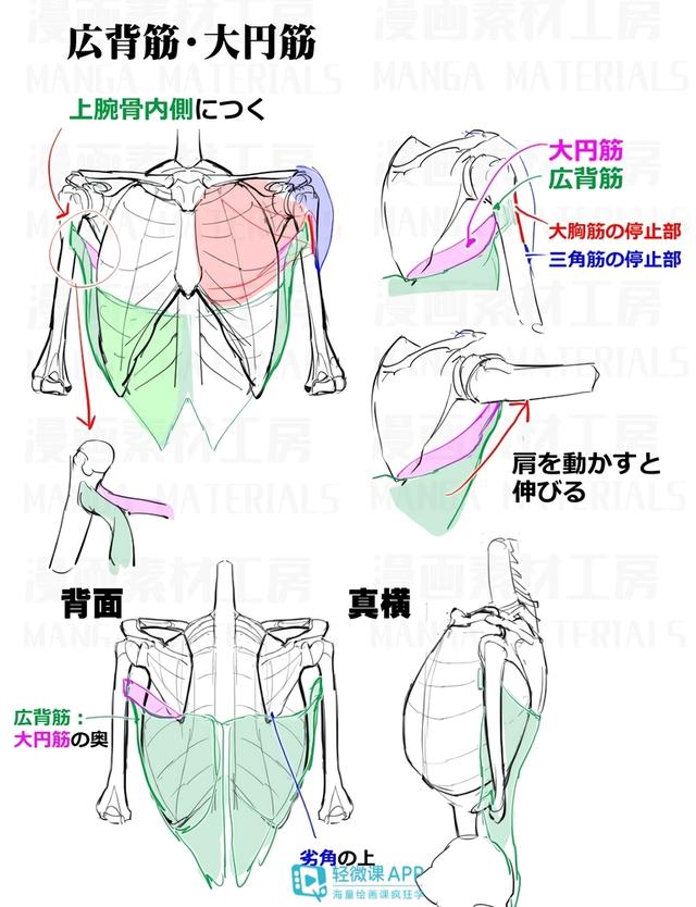 黃鶴樓動(dòng)漫