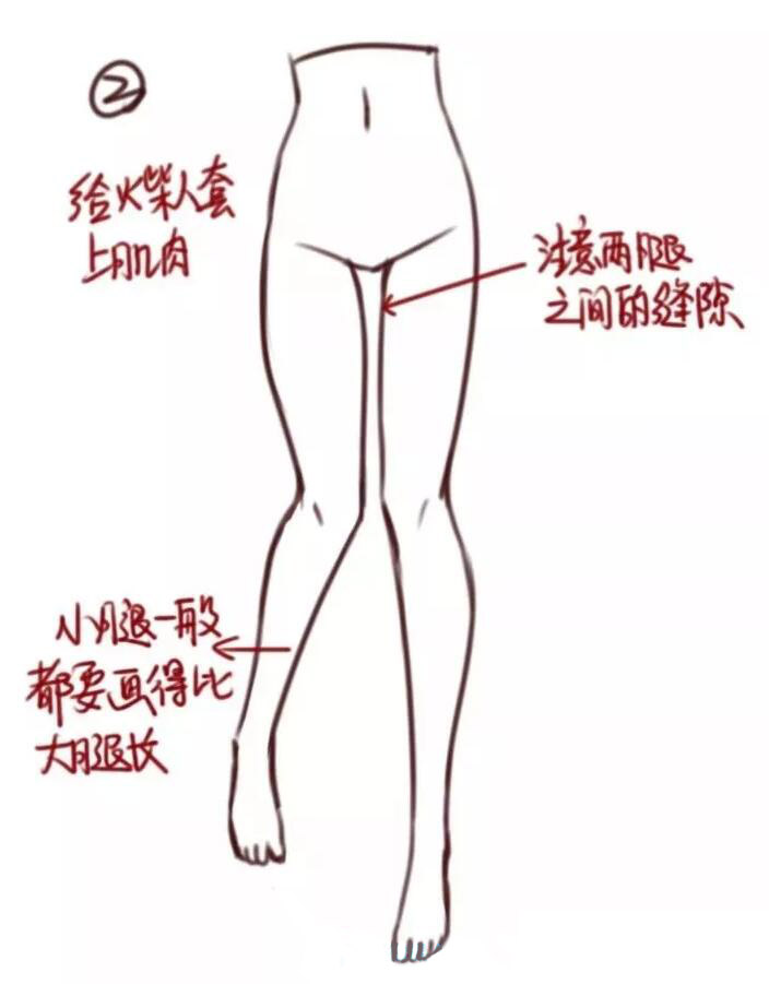 腿部教程（女性）大腿結(jié)構(gòu)畫(huà)法教程2.jpg