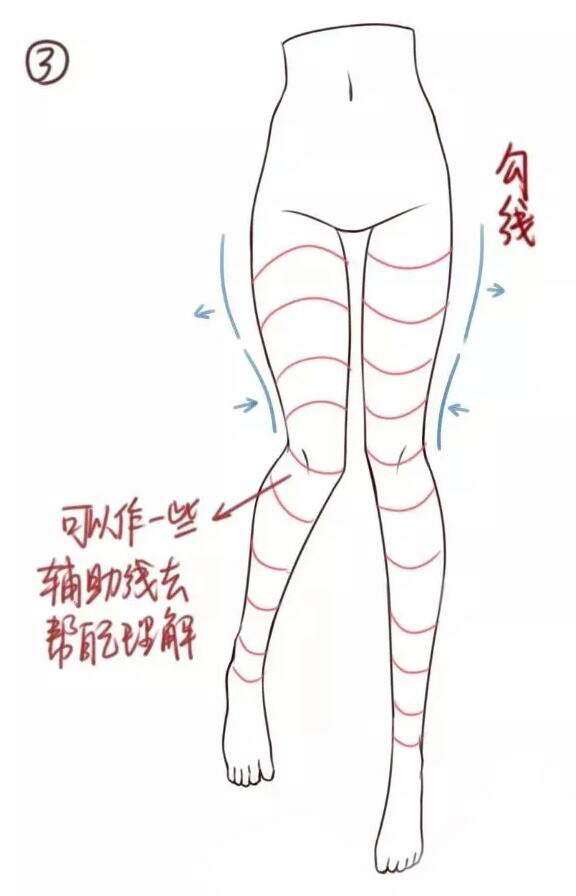 腿部教程（女性）大腿結(jié)構(gòu)畫(huà)法教程3.jpg