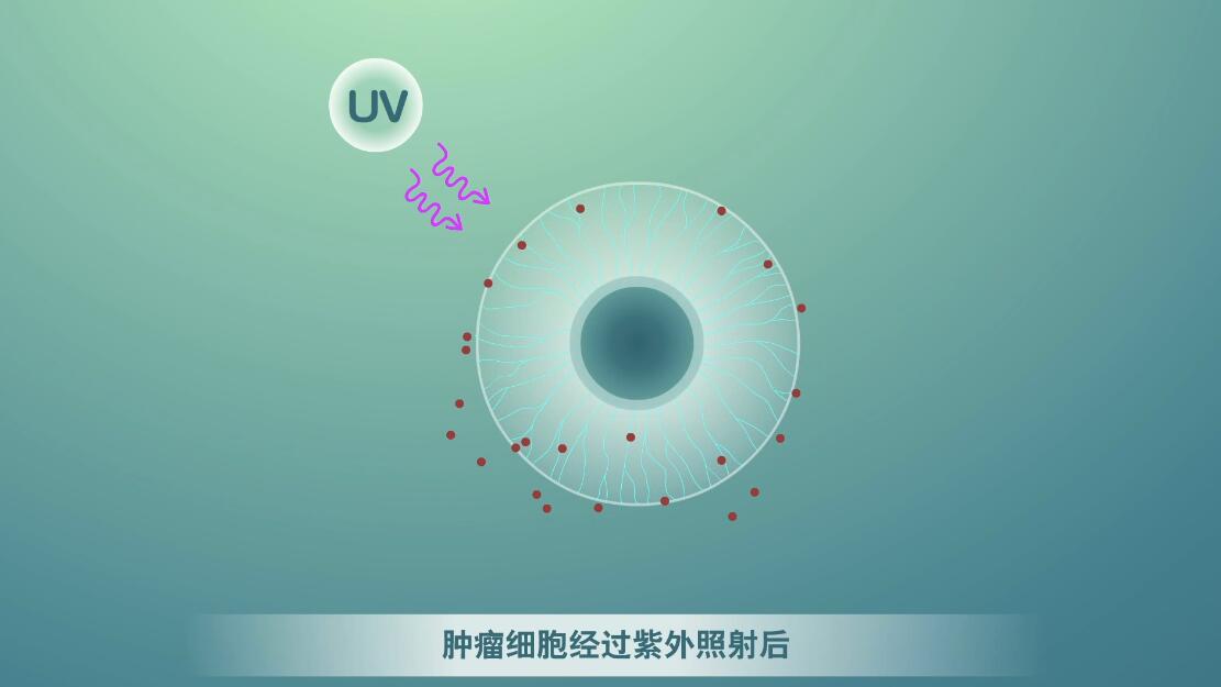 Flash動畫制作《細(xì)胞囊泡生物治療》醫(yī)學(xué)動漫宣傳片.jpg