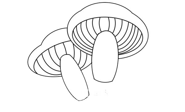 彩色蘑菇簡(jiǎn)筆畫畫法步驟圖片