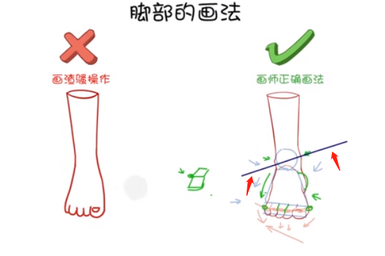 在腳腕的地方，畫出一些凸出來的踝關(guān)節(jié)，一定要記住里面的踝關(guān)節(jié)會比外面的踝關(guān)節(jié)要高，能形成一個傾斜的坡度。.png