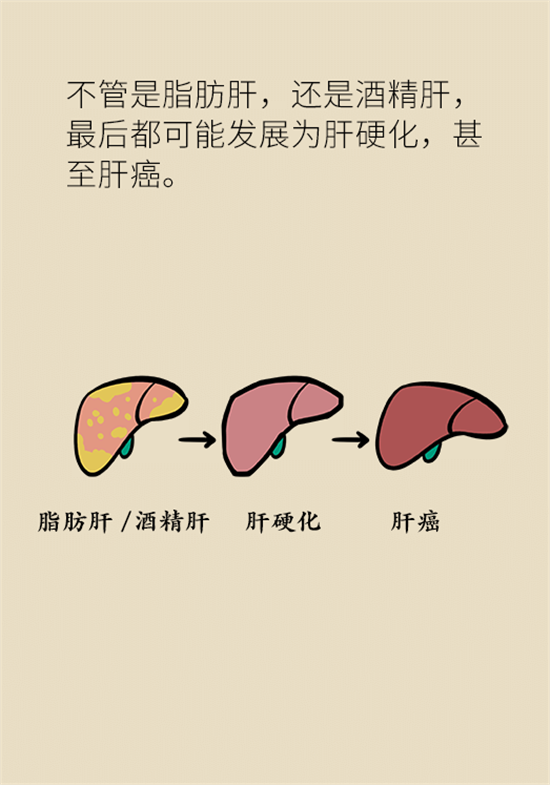 喝酒之后會(huì)傷肝？這個(gè)因素很重要