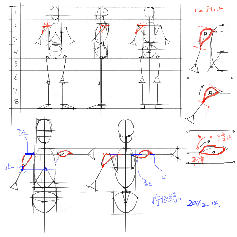 「動(dòng)漫設(shè)計(jì)」分享一波繪畫專用人體解剖素材 part 02