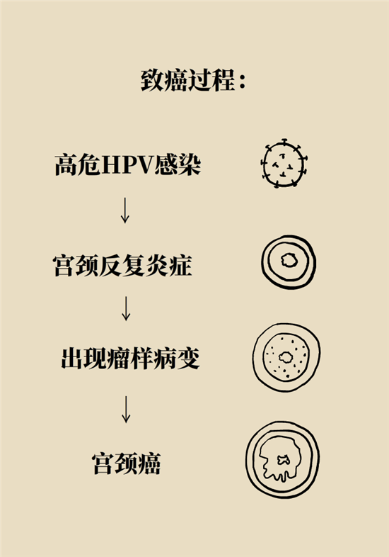 癌癥會(huì)傳染嗎？專(zhuān)家：這些高危因素得注意