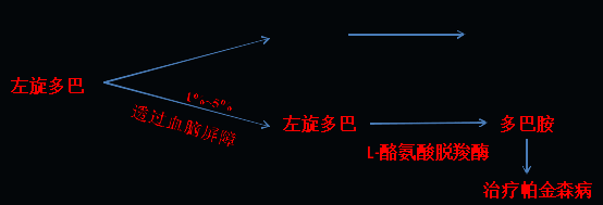 同樣的藥，為什么對他有效卻對你沒效果，可能得問腸道菌群