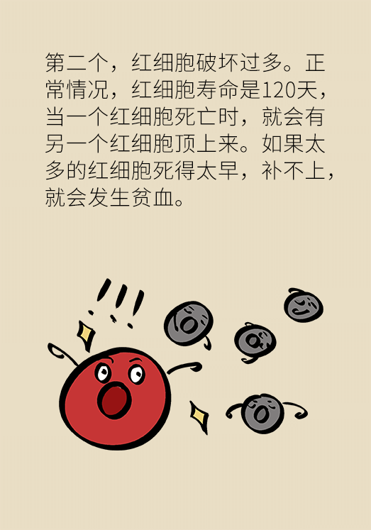 貧血科普動漫制作