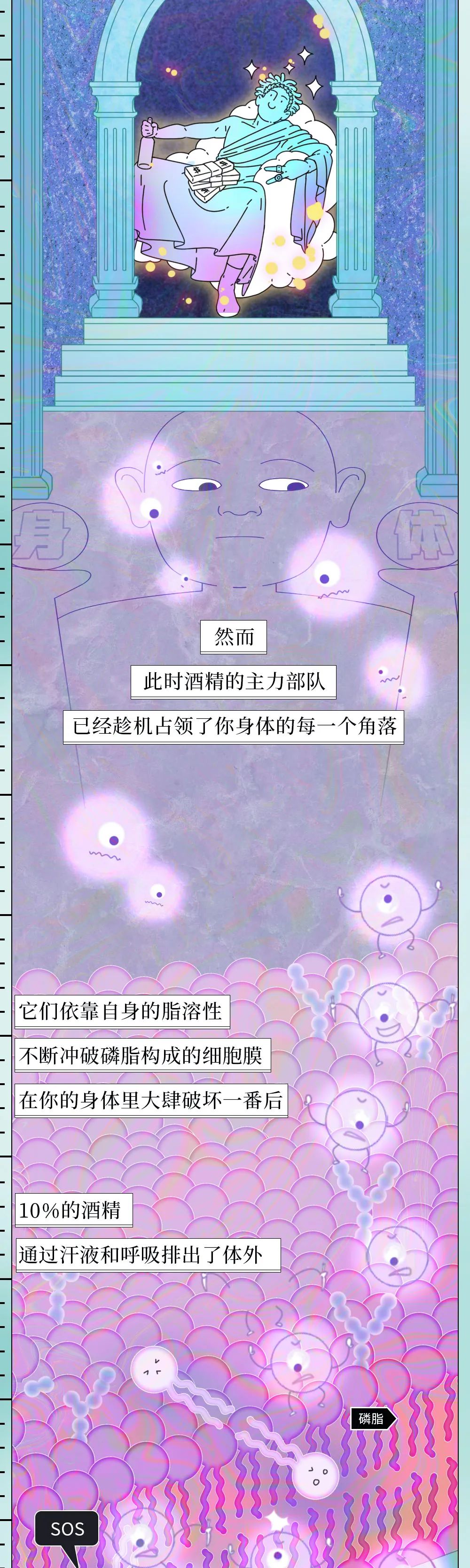 酒精醫(yī)學(xué)知識科普動漫制作