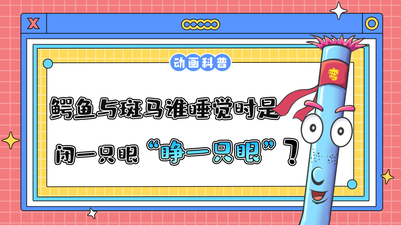 鱷魚與斑馬誰睡覺時是“睜一只眼閉一只眼”？.jpg