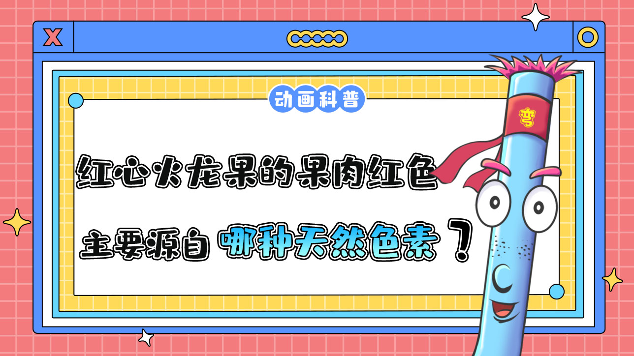 紅心火龍果的果肉之所以是紅色，主要源自哪種天然色素呢？.jpg