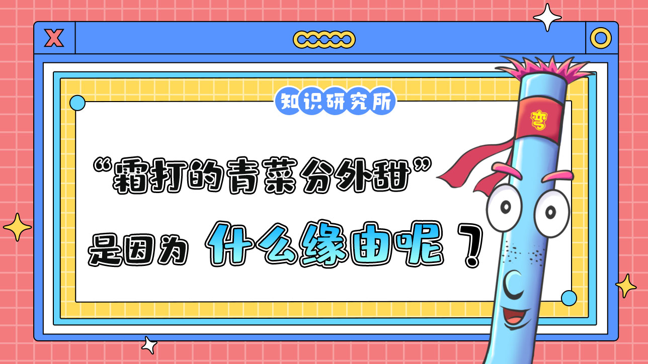 俗話說(shuō)“霜打的青菜分外甜”，是因?yàn)槭裁茨兀?jpg